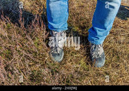 Male legs in blue jeans and gray with black hiking boots standing on wild grass on sunny day in nature Stock Photo