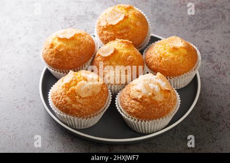 Beautiful delicious flavored magdalenas cupcakes pastry closeup in the plate on the table. Horizontal Stock Photo