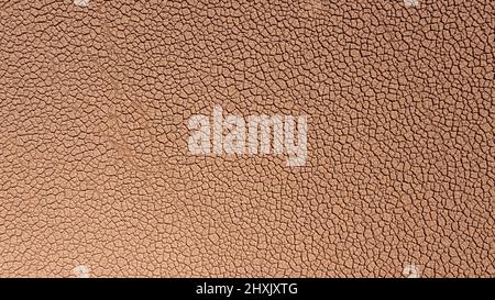 Dry and hot summers, cracked soil, ground on field with some small, green plants. texture of earth during drought. View from the top. Stock Photo