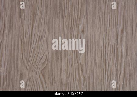 Breeze Oak veneer texture, background in beautiful grey color for your personal design. Stock Photo