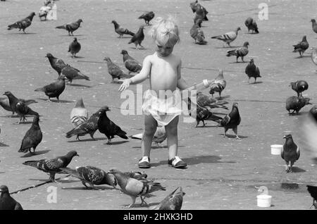 Summer Weather Pix, Trafalgar Square, London, 8th June 1976. 18 months old Caroline Amos plays with pigeons in Trafalgar Square. Stock Photo