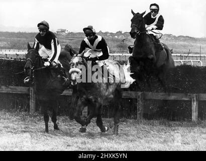 Stockton Racecourse (September 1855 - 16 June 1981), also known as Teesside Park. Monkey Nut (centre) leads over the third fence in the novices chase at Teesside Park, but it was Tommy Stack on Infantryman (left) who passed the post first ahead of Swanky Guide (right). Monkey Nut went back into his shell to finnish last of the five runners. 26th november 1976. Stock Photo