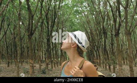 The traveler walks between trees plantation agriculture of asia for natural latex extraction milk in traditional. Young blonde woman with plait in hat walks to rubber tree. Stock Photo