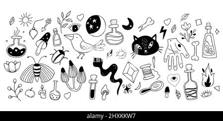 Big set of magic, witchcraft and occult items for witches, animals and plants. Amulets and ritual objects, cat and snake, potion and mushrooms. Vector Stock Vector