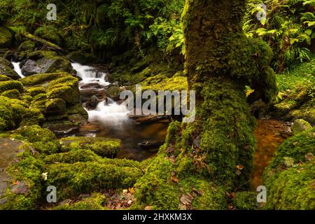 Torc waterfall in the Killarney National Park, County Kerry, Ireland Stock Photo