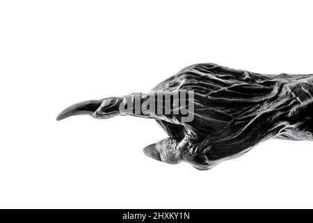 Creepy monster hand isolated on white background with clipping path Stock Photo