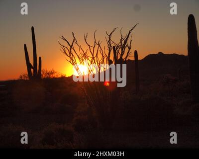 Sunset images at Superstition Mountain in Arizona and surrounding area. Setting sun bathes the area in golden hues of red. Stock Photo