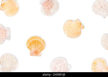 Sea pattern, top view, flat lay. Summer concept. Yellow sea shells pattern isolated on white background. Stock Photo