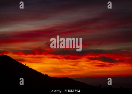 Sunrise over a cactus in Cabo San Lucas BCS Mexico Stock Photo