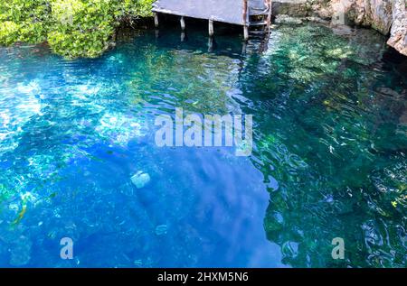 Mexico tourism destination, caves and pools of Cenote Casa Tortuga near Tulum and Playa Del Carmen. Stock Photo