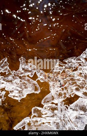 Strong sunlight reflections upon water and ice in Lacupite river,  Lāčupīte Arboretum, Latvia Stock Photo