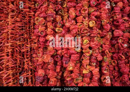 Dried bell peppers hanging on the traditional turkish food market close-up Stock Photo