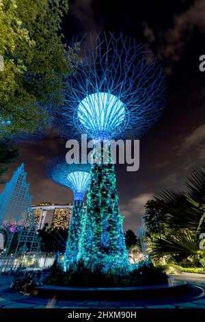 view of flower structure in Gardens By The Bay at night, Singapore Stock Photo