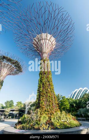 view of flower structure in Gardens By The Bay, Singapore Stock Photo