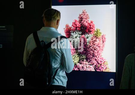 DUBAI, UAE, 13th March 2022. Visitors view NFT displays at the Dubai WOW (World of Web3) Summit. This event is a leading gathering of senior decision-makers discussing the impact of blockchain and associated technologies on financial services Stock Photo