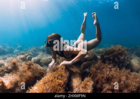 Young woman explore sea bottom with seaweed. Freediving and sun light in blue ocean Stock Photo
