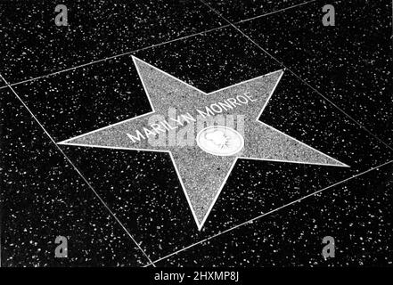 Marilyn Monroe star on the Walk of Fame on Hollywood Blvd. in Los Angeles, CA Stock Photo