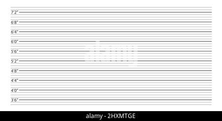 Mugshot background. Police wall with height measuring scale Stock ...