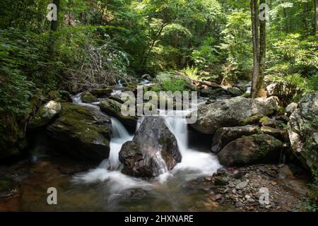 Anna Ruby Falls located in Unicoi State Park in Georgia Stock Photo