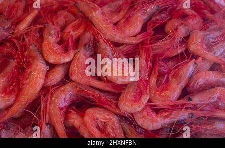 A pile of shrimps for sale at a fish counter. Fresh prawn sale in a fish market. Shrimps in ice. Blurred photo, selective focus, nobody. Stock Photo