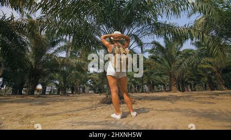 Woman tourist with plait walks looking around at growing young trees with lush leaves at oil palm farm elaeis guineensis on sunny day. Concept of exotic crop cultivation, travel to tropical countries Stock Photo