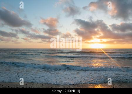 March 13, 2022: Yellow and purple spring wildflowers, birds, rocks, cliffs, and moss during the sunset at South Ponto State Beach in Leucadia, a beach community of Encinitas, California, USA on Sunday, March 13th, 2022. Encinitas is a popular beach city in San Diego County. (Credit Image: © Rishi Deka/ZUMA Press Wire) Stock Photo