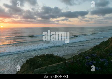 March 13, 2022: Yellow and purple spring wildflowers, birds, rocks, cliffs, and moss during the sunset at South Ponto State Beach in Leucadia, a beach community of Encinitas, California, USA on Sunday, March 13th, 2022. Encinitas is a popular beach city in San Diego County. (Credit Image: © Rishi Deka/ZUMA Press Wire) Stock Photo