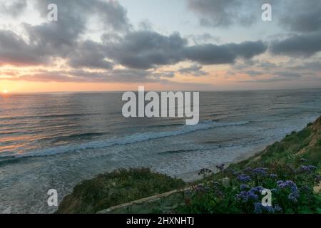 March 13, 2022: Yellow and purple spring wildflowers, birds, rocks, cliffs, and moss during the sunset at South Ponto State Beach in Leucadia, a beach community of Encinitas, California, USA on Sunday, March 13th, 2022. Encinitas is a popular beach city in San Diego County. (Credit Image: © Rishi Deka/ZUMA Press Wire) Stock Photo