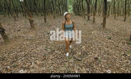 The traveler walks between trees plantation agriculture of asia for natural latex extraction milk in traditional. Young blonde woman with plait in hat walks to rubber tree. Stock Photo