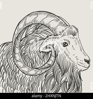 illustration vintage goat engraving style Stock Vector