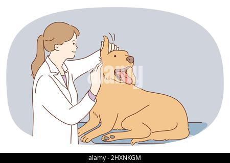 Female vet doctor examine dog in clinic or hospital. Caring veterinary nurse checkup big puppy at appointment. Domestic animal or pet examination. Healthcare. Vector illustration.  Stock Vector