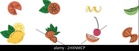 Set of fruit illustration. Cocktail garnish.  Stock Vector