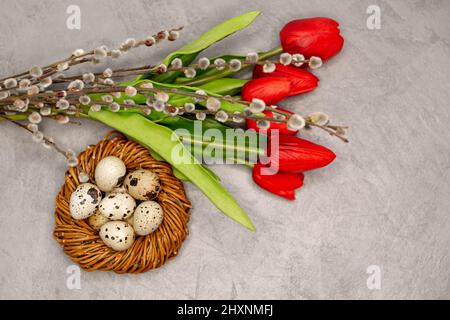 Red tulips, quail eggs in brown nest . Easter decoration on the grey . Stock Photo