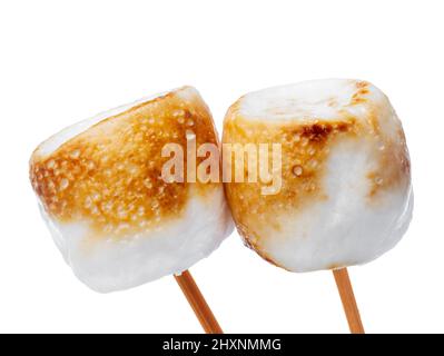 Grilled marshmallows on sticks isolated on white Stock Photo