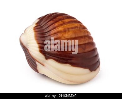 Chocolate sweets shaped as seashells isolated on white background Stock Photo