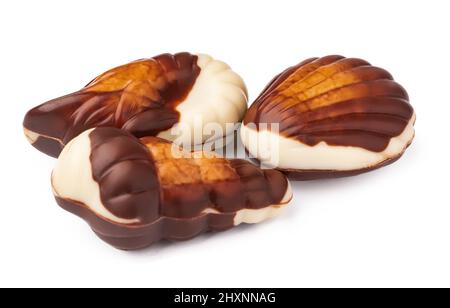 Chocolate sweets shaped as seashells isolated on white background Stock Photo