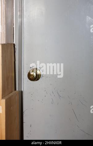 James Dean - Tür zum Dach Wohnung New York / James Dean - Door to the roof Apartment New York / Stock Photo