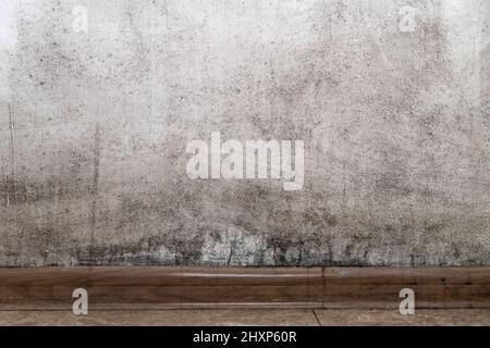 Mold on a white wall, background, copy space Stock Photo