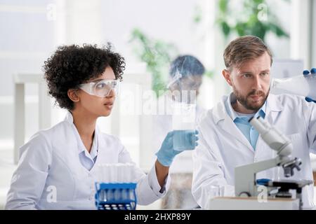 scientists examining control samples in the laboratory . Stock Photo