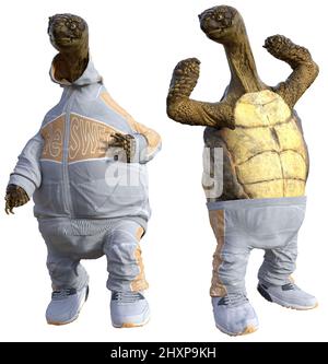 Cartoon Tortoises working out 3D illustrations Stock Photo