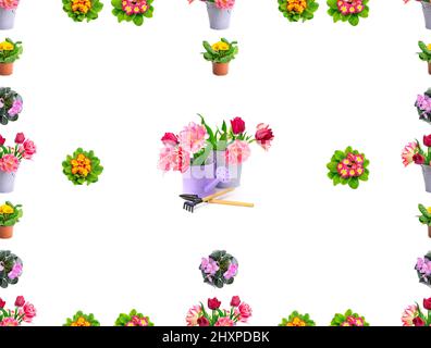 Seamless pattern bright fresh violets and tulips isolated on white background. Stock Photo