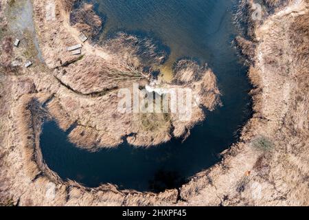 The view from the drone on the thickets by the lake, interesting shapes seen from the drone. Stock Photo