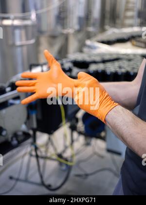 Vertical photo of a worker putting on latex gloves in a brewery Stock Photo