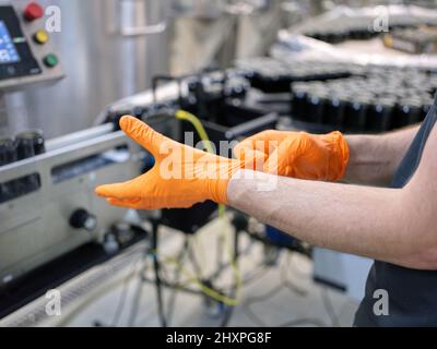 Hands of a man putting on latex gloves in a brewery Stock Photo