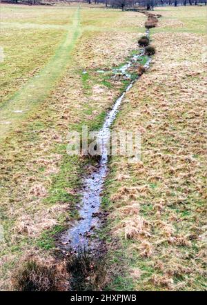 Small stream flowing through open land in Richmond Park during winter, England Stock Photo