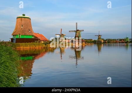 View of a couple of Dutch Windmills Stock Photo