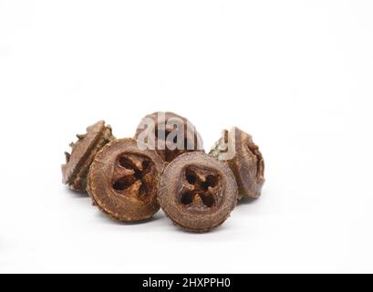 fruits Eucalyptus on white background Stock Photo