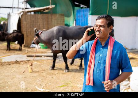 village Dairy farmer busy talking on mobile phone while at farmhouse in front of livestock - concpet of small business, communication skills and Stock Photo