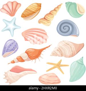 Cartoon seashells and starfish, tropical ocean seashell. Snail, oyster, clam shell, marine mollusk shells, summer beach elements vector set. Underwater wildlife objects isolated on white Stock Vector