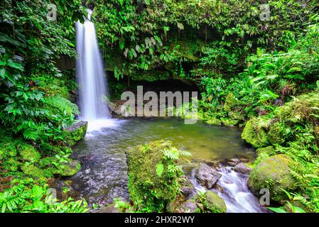 One of the most popular spots on the Caribbean island of Dominica is the Emerald Pool Stock Photo